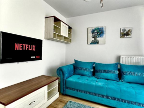4FriendsCoresiBrasov Blue